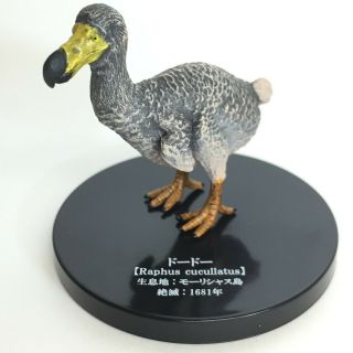 Extinct Animal Mini Figure Bird Japanese Dodo Takara Tomy Arts Japan