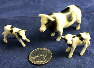 Miniature Cow Steer Calf Figurine Figure - Bone China Set Of 3 - Black And White