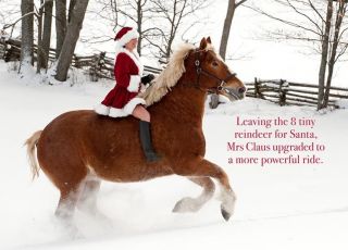 Mrs Claus Upgraded Rides Belgian Horse Christmas Cards