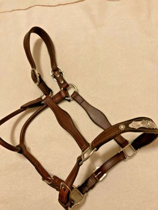 Vintage Champion Turf Sterling Silver Horse Show Halter With Supple Leather