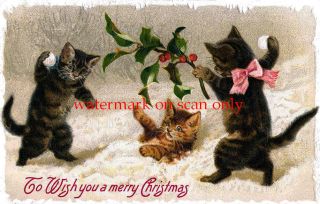 Antique Art Three Christmas Kittys,  Kittens,  Cats Snow Holly Large Note Cards