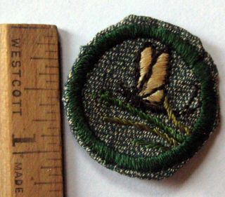 Vintage 1938 - 1947 Girl Scout Insect Finder Badge Mayfly Water Bug Patch Award