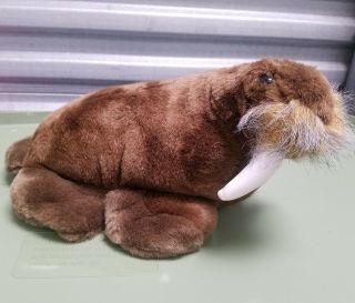Seaworld Adventure Parks 10 " Plush Lifelike Walrus With Vinyl Tusks (small 10 ")