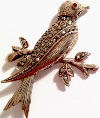 Vintage Silver Marcasite Garnet " Large Bird On Branch " Brooch Gift Boxed