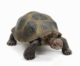 2008 Schleich Wild Life Giant Tortoise Turtle 3 " Figurine Toy Figure