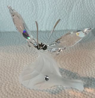 Awesome Vintage Swarovski Crystal Buterfly On A Leaf Figurine Mib W/ Cert