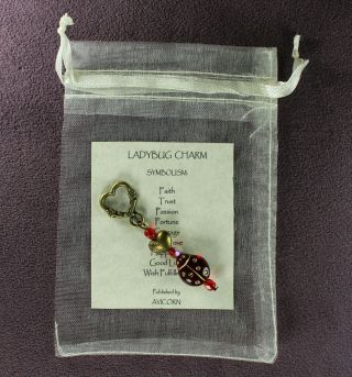 Ladybug Pocket Charm Amulet Talisman Insect Animal Magick Luck Love Ladybird