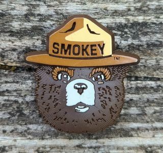 Vintage Us Forest Service Smokey Bear Face Prevent Forest Fires Collectable Pin