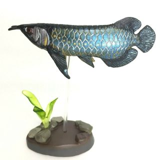 Colorata Fossil Fish Mini Figure Asian Arowana Import Japan