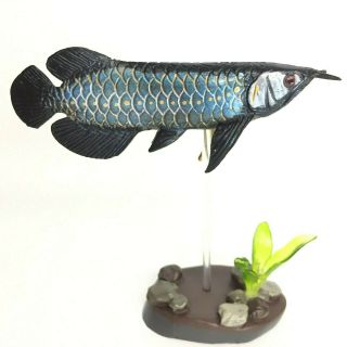 Colorata Fossil Fish Mini Figure Asian Arowana import Japan 2