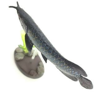 Colorata Fossil Fish Mini Figure Asian Arowana import Japan 3