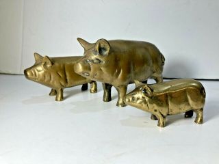 3 Vintage Old Brass Pig Figurines Paperweights - 4 ",  3 ",  And 2 1/4 " Great Patina
