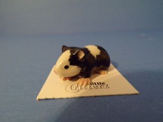 Little Critterz Guinea Pig " Ziggy " Porcelain Figurine Lc709