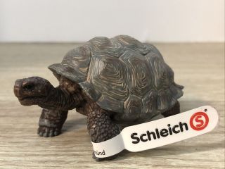 Schleich Wild Life Giant Tortoise Toy Figure (14824)