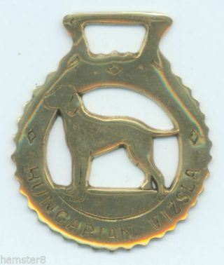 Hungarian Vizsla Horse Brass (n647)