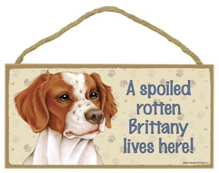 Brittany A Spoiled Rotten Brittany Lives Here Wood Puppy Dog Sign Made In Usa