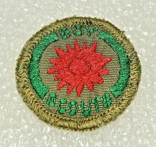 Red Variety Boy Scout Naturalist Proficiency Award Badge White Back Troop Small
