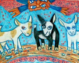 Nigerian Dwarf Dairy Goat - 5x7 Art Print - Wall Décor - Billy Goats Gruff