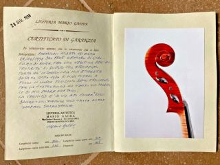 Cello Mario Gadda 1984,  Certificate,  Youtube Sample Italian Old Violoncello