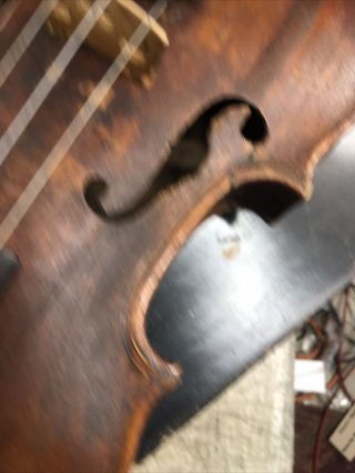 OLD Antique Vintage Lion Head Unbranded 4/4 Violin - 1 piece flame back Germany 3