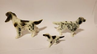 Vintage Miniature Bone China Vintage Dog Puppy Family of 3 English Setter 2