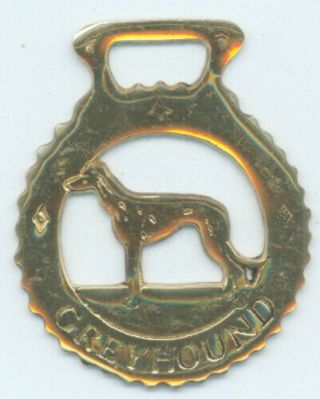 Greyhound Horse Brass (n603)