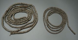 Two Strands Antique Solomon Islands Oceanic Tribal Art Shell Currency Money Wow