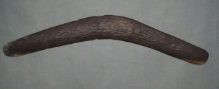 Good Oceanic Australian Aboriginal Carved Wooden Boomerang Club Stone Carved??