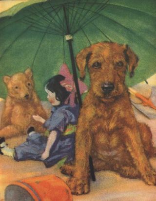 Irish Terrier Puppy - Dog Print - Diana Thorne