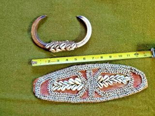 Vintage Tiki Papua Guinea Necklace Boars Tusks Shells And Belt " See Video "