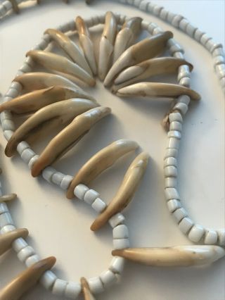 Antique Native American Or Tribal Coyote? Tooth Bone Necklace,  Glass Beads