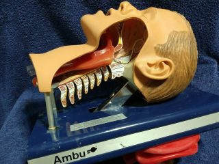 Vintage Ambu Intubation Trainer Manikin Mannequin Systematic Guide Textbook 1984