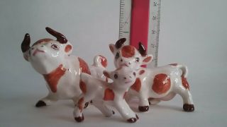 Cow Family Figurines Bone China Vintage Bull Calf