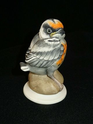 Vintage Boehm Porcelain Bird Sculpture Figurine Fledgling Blackburnian Warbler