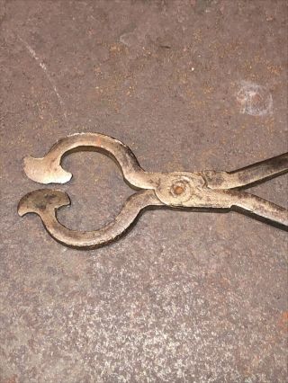 Antique 18th C Wrought Iron Sugar Nips Nippers Snips AAFA 2
