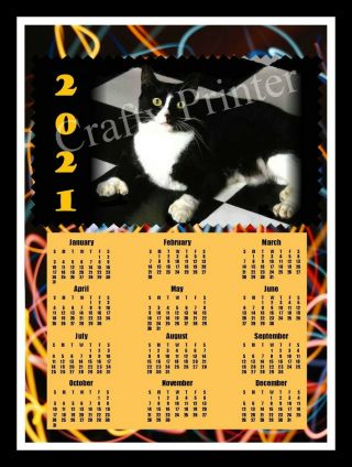 2021 Cat Calendar Magnet - Tuxedo Cat