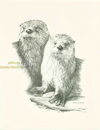 126 2 (two) Otters Wildlife Art Print Pen & Ink Drawing By Jan Jellins