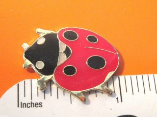Lady Bug Ladybug - Hat Pin,  Lapel Pin,  Tie Tac,  Hatpin Scarf Pin Gift Boxed