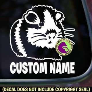Guinea Pig 1 - Add Your Custom Words - Vinyl Decal Sticker Love Car Window Sign