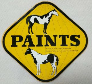 American Paint Horse Association Decal Sticker Paints Yellow Triangle 2 Horses