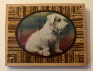 Vintage Sealyham Terrier Small Wall Hanger On Wood 3.  5 X 4.  5 Sealy