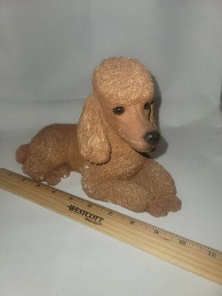 Vintage Poodle 144:apricot Figurine Sandicast Signed Sandra Brue