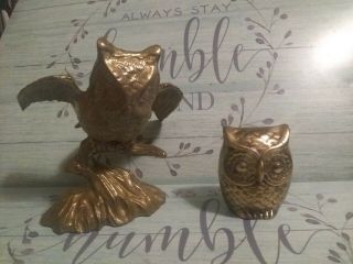 2 Vintage Brass Owls 1 With Spread Wings Perched On Limb 6 " Tall 1 Is 3 " Tall