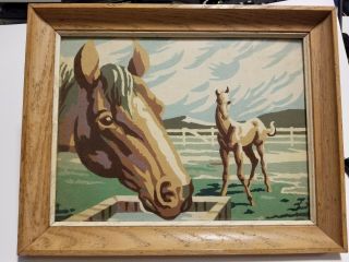 Paint By Numbers Painting,  Vintage,  Horse,  Frame With Glass 13.  5 " X 11 "
