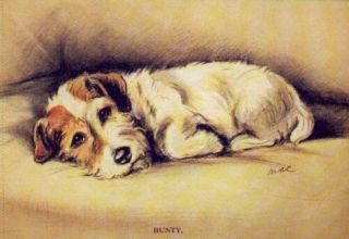 Sealyham " Bunty " - Matted Dog Print - Lucy Dawson