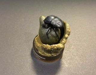 Kaiyodo Japan Exclusive Jean Fabre Sacred Scarab Dung Beetle Insect Figure 3