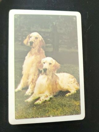 Vintage Playing Cards: English Setter Dog In Plastic
