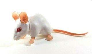 Japan Kaiyodo Choco Q White Mouse Pet Miniature Animal Realistic Figure