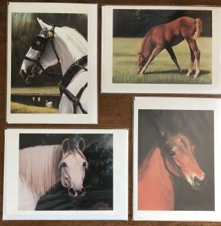 Equestrian Blank Greeting Cards Set Of (4) - Prints By Jean Barrows Horses Foals