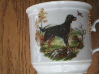 Vtg Gordon Setter Hunting Dog Porcelain Mug Cup Schumann Bavaria Germany Excelnt